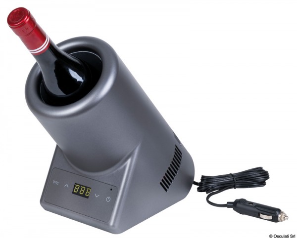 Thermoelektrische Kühlbox 12V - 220V